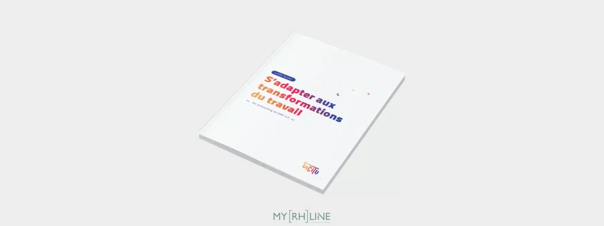 livre blanc transformations du travail
